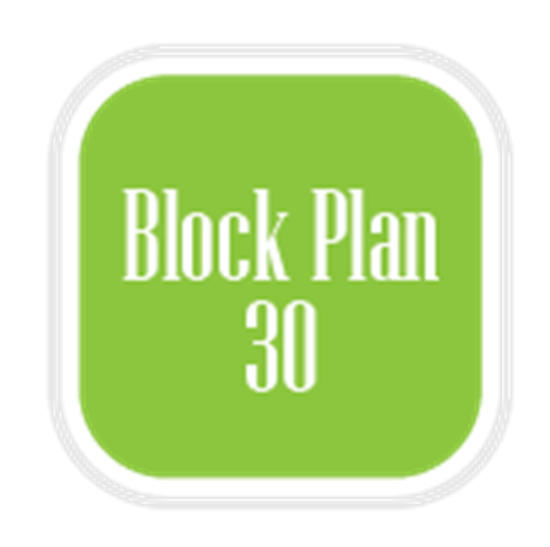 block_plan_30